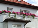 Kleines Juwel der 30er Jahre -Ruhe und Idylle in Leipzig-Liebertwolkwitz - Leipzig